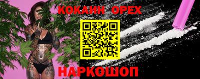 трава Кандалакша