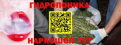 трава Кандалакша